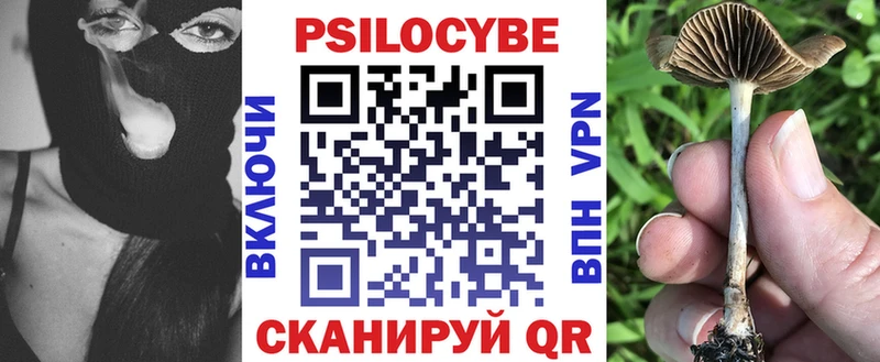 darknet наркотические препараты Балей Галлюциногенные грибы GOLDEN TEACHER как найти закладки